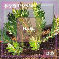 画像1427