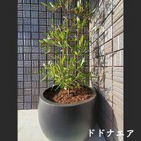 画像1432