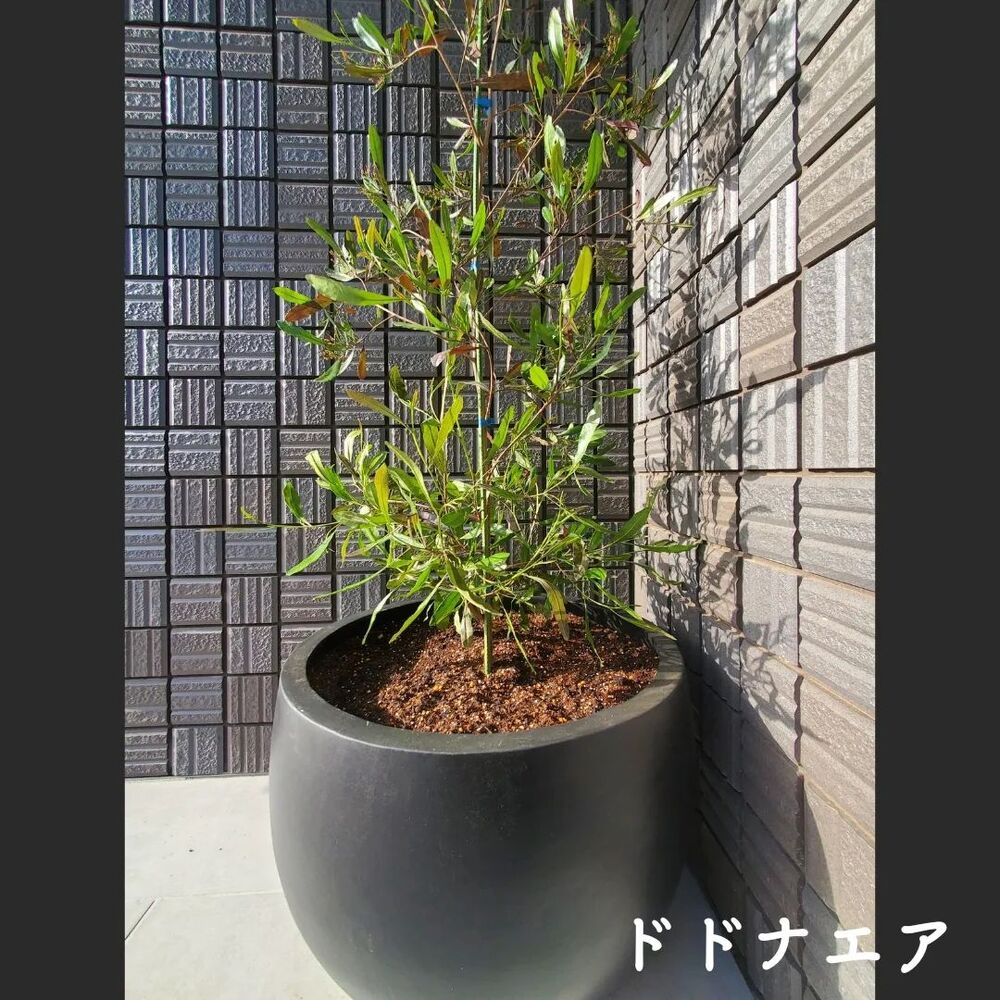 画像1432