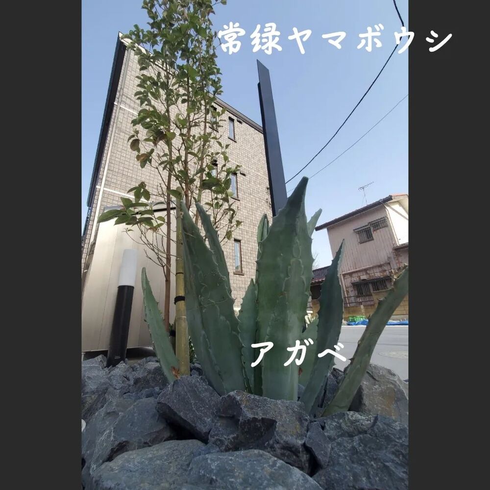 画像1433