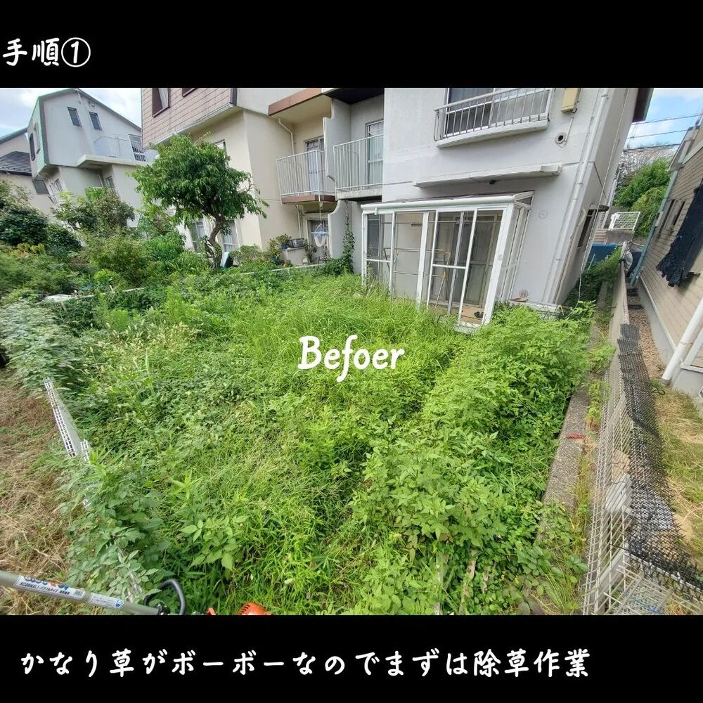 画像1461
