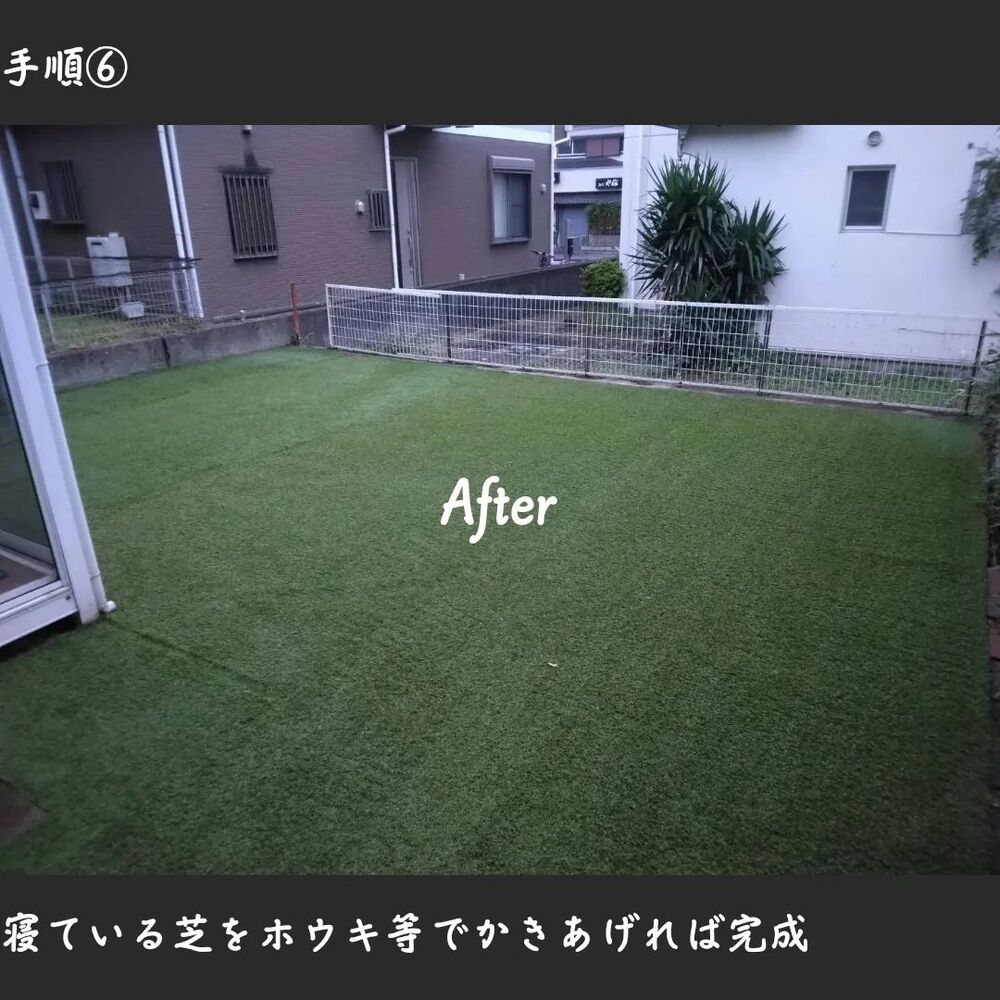 画像1466