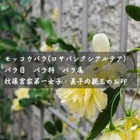 画像1469