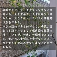画像1471