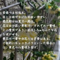 画像1472