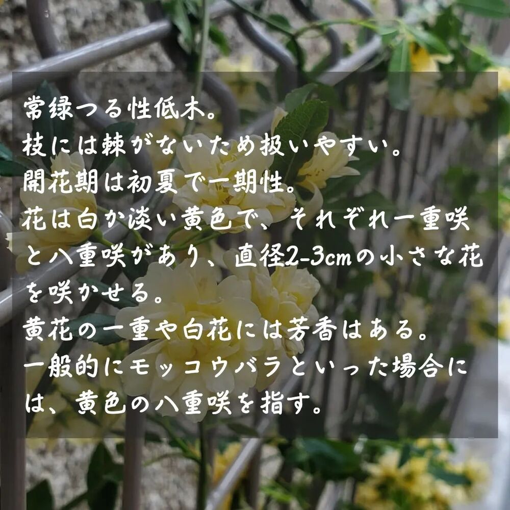 画像1472